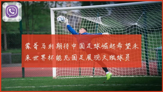 蒙哥马利期待中国足球崛起希望未来世界杯能见国足展现天赋球员
